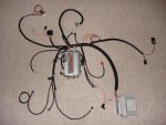 92_Typhoon_Harness_OBDII_800x600.jpg