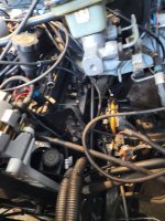 20230225_145016.jpg